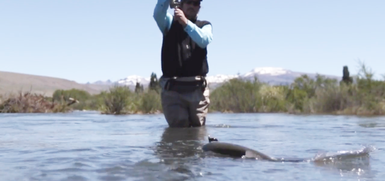 Pointer Fly Fishing Argentina